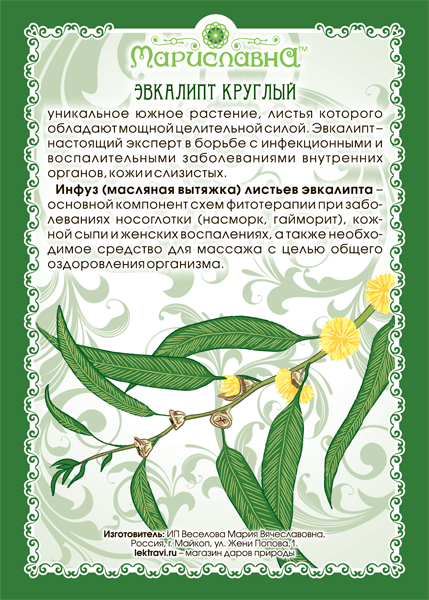 Эвкалипта масло (инфуз)