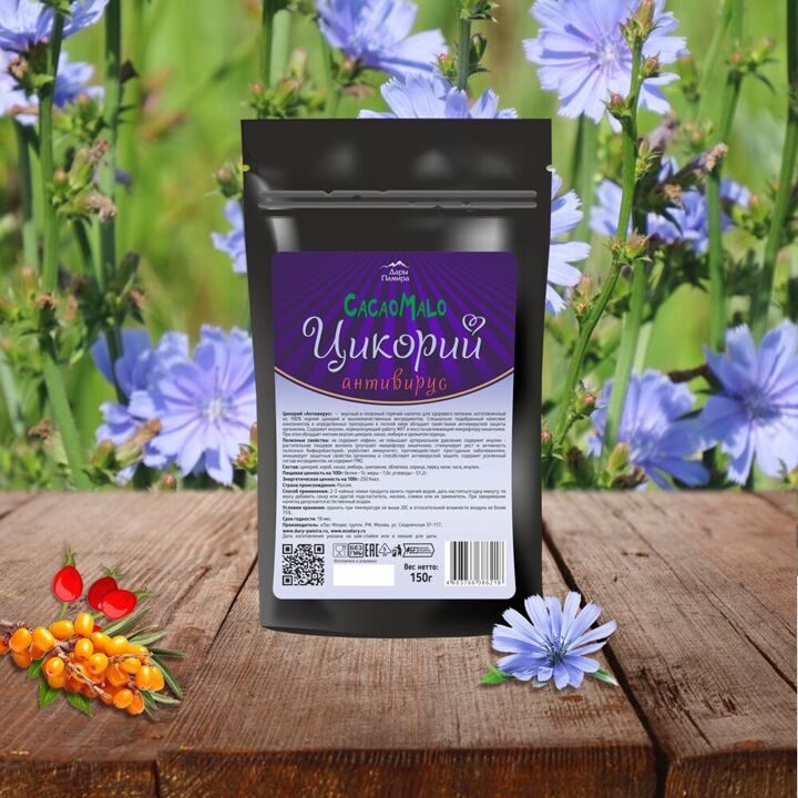 Цикорий антивирус