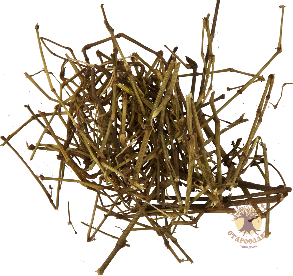 Горец птичий трава