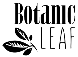 Botanic Leaf