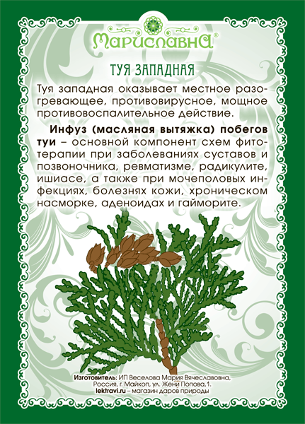Туи масло (инфуз)