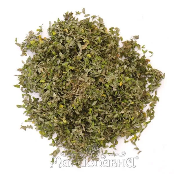 Ряска болотная (лист)