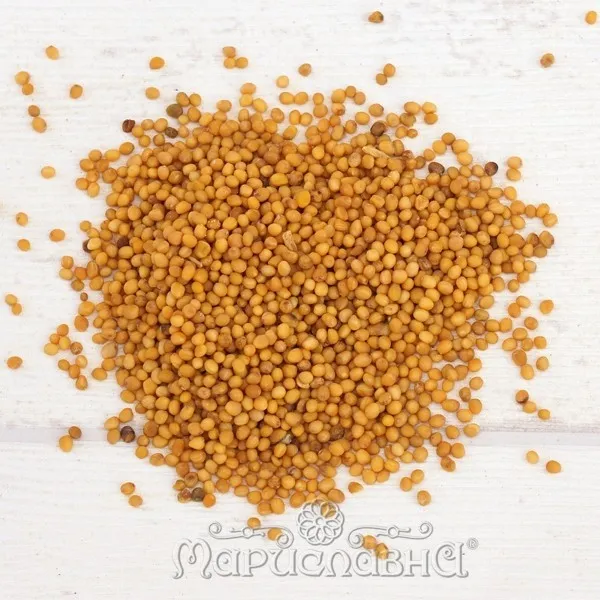 Горчица (семена)