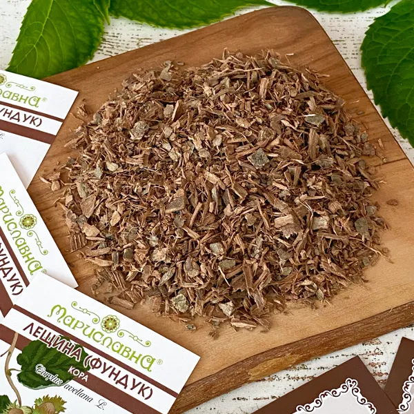 Лещина (фундук) кора