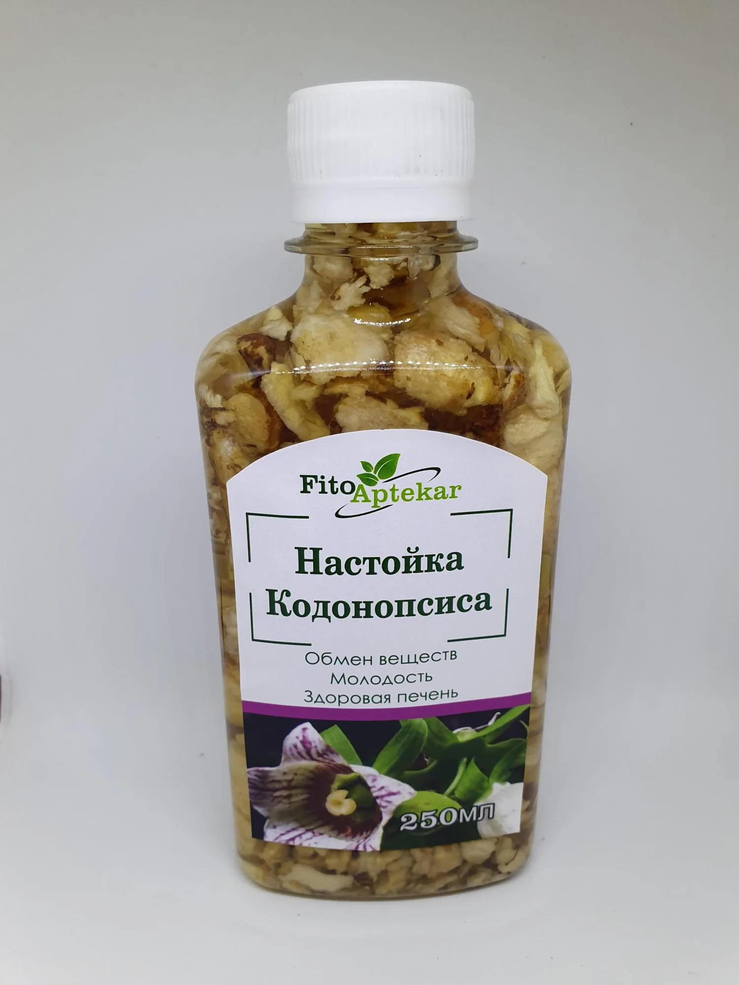 Кодонопсиса настойка 