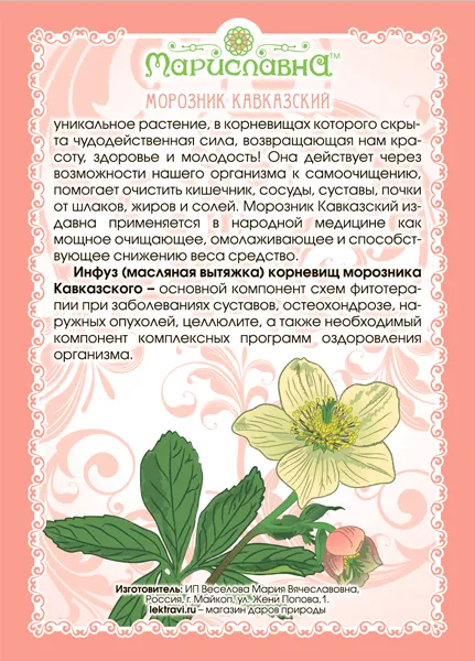 Морозника масло (инфуз)