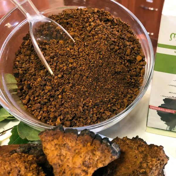 Чага березовая гриб