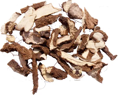 Адамов корень (тамус)