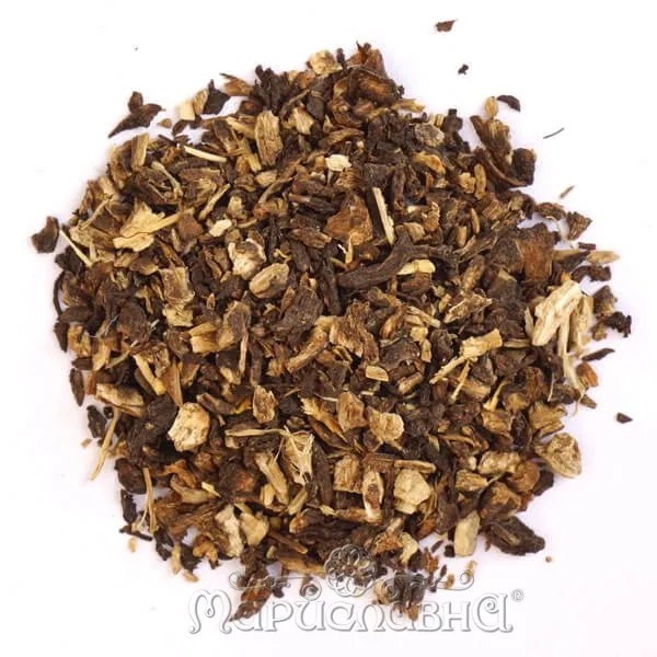 Дягиль лекарственный (дудник) корень