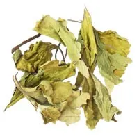 Подорожник (лист)