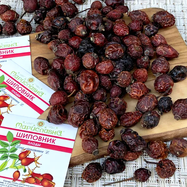 Шиповник (плоды)