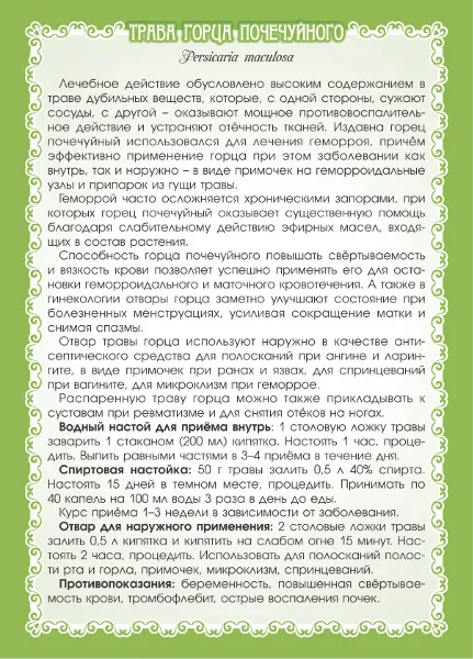 Горец почечуйный (трава)