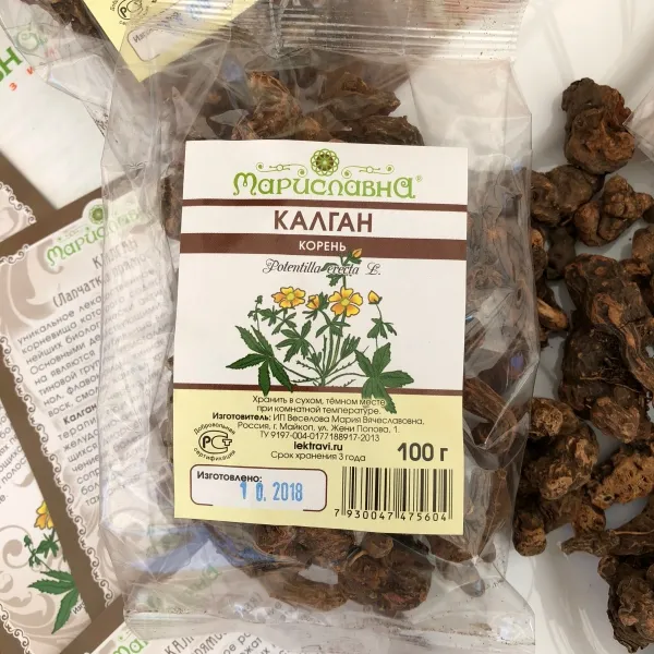 Калган (лапчатка прямостоячая) корень