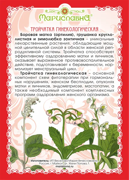 Тройчатка гинекологическая сбор трав 