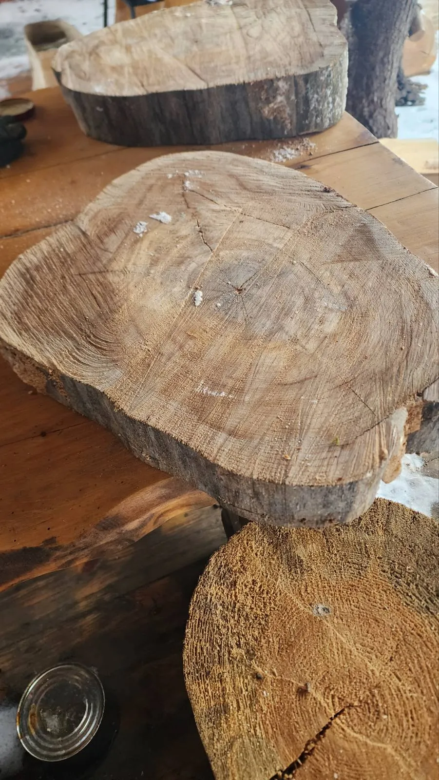 Спилы