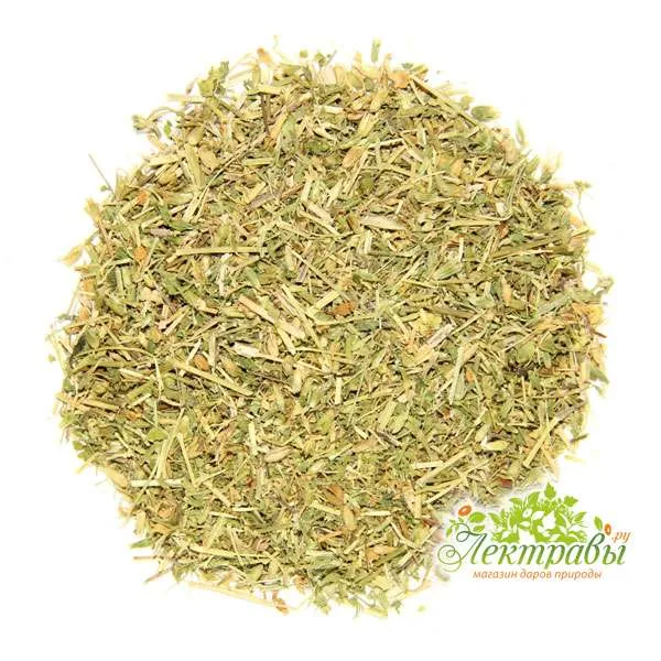 Мокрица (звездчатка)