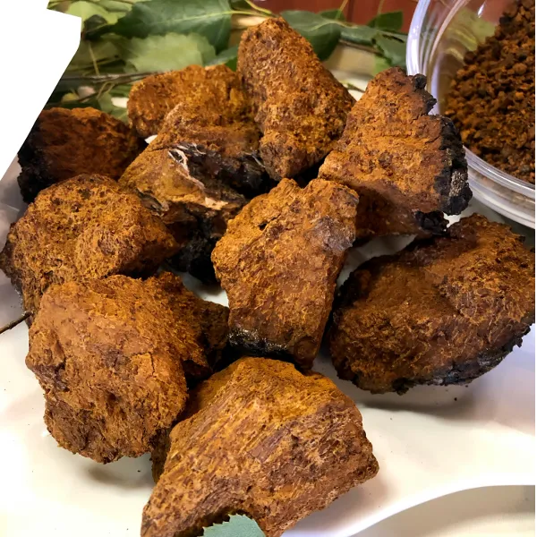 Чага березовая (фильтр-пакеты)