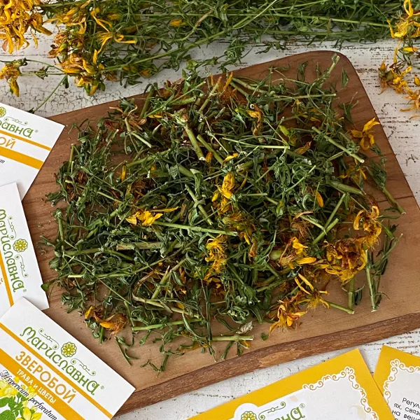 Зверобой (трава)