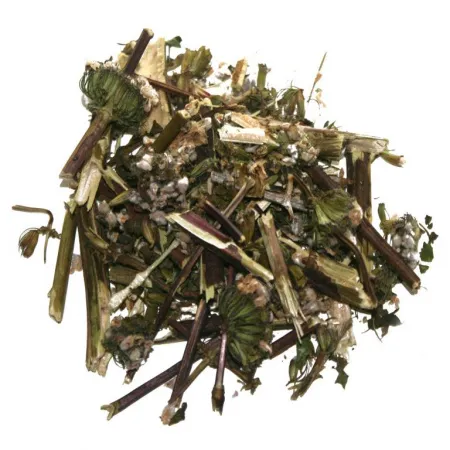 Железняк (зопник)