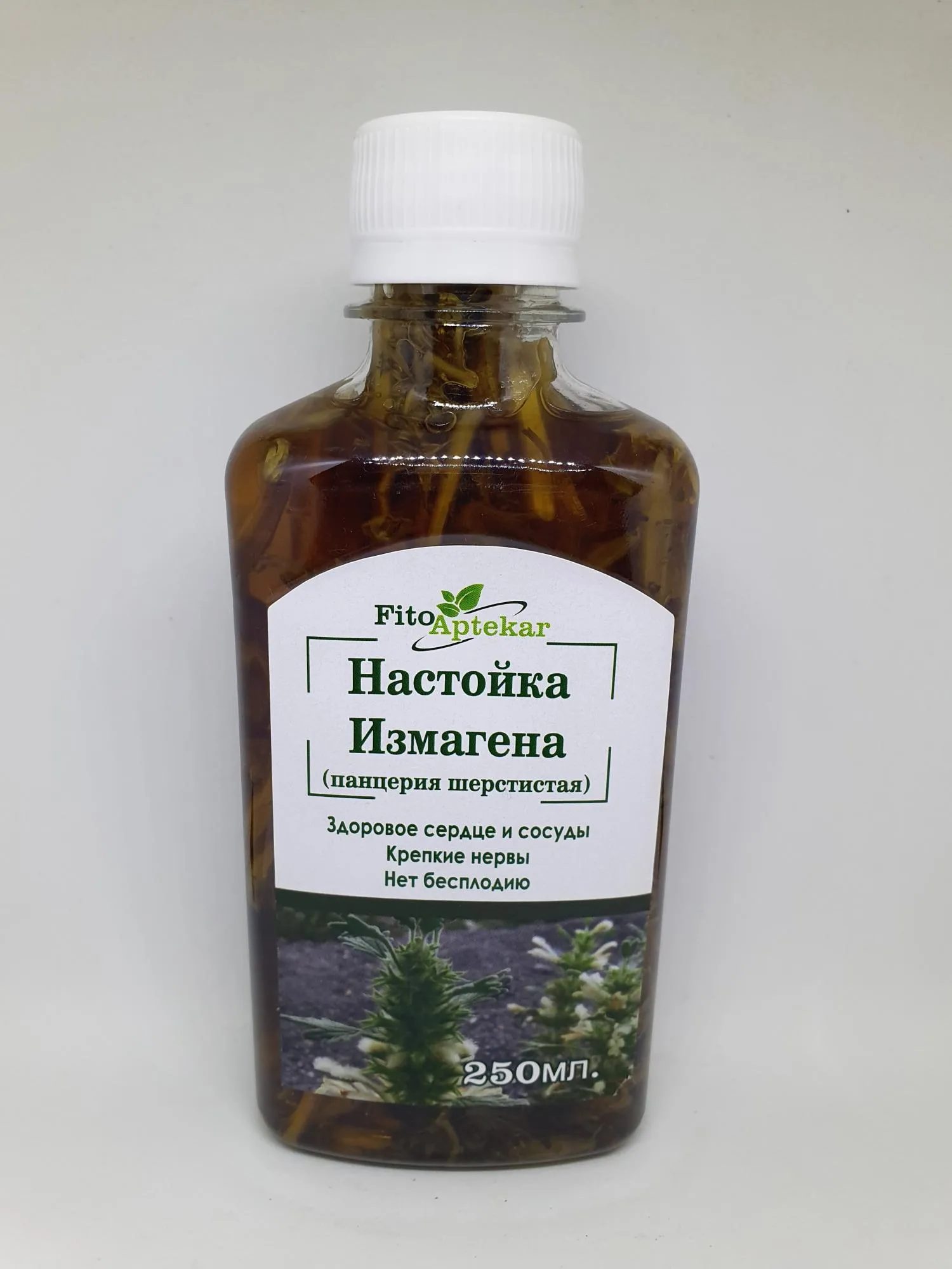 Измагена (панцерия шерстистая) настойка 