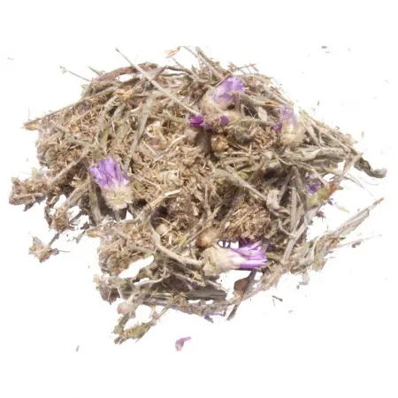 Сухоцвет (кошачья лапка)