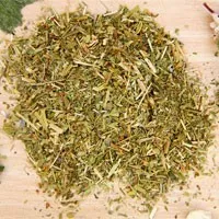 Фиалка трёхцветная (трава)