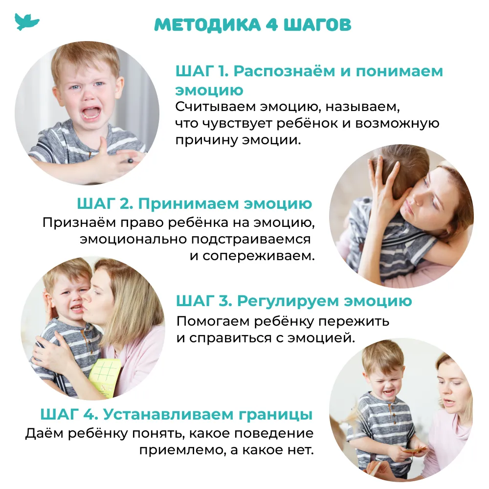 Программа развития Управляем эмоциями