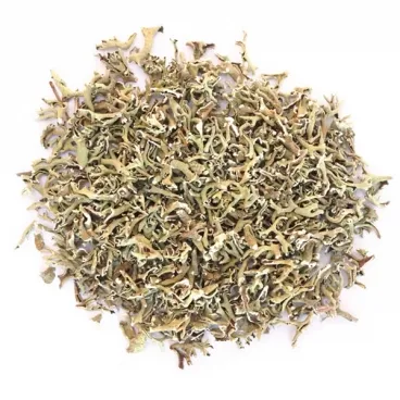 Пармелия (лишайник)