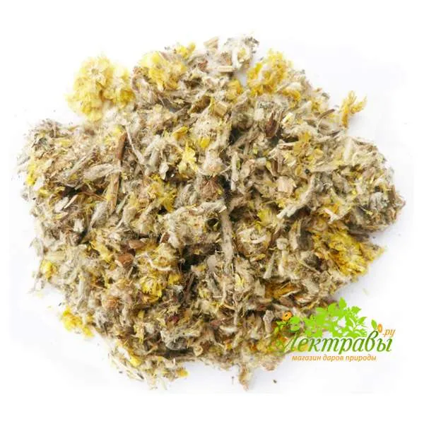 Сушеница болотная (трава)