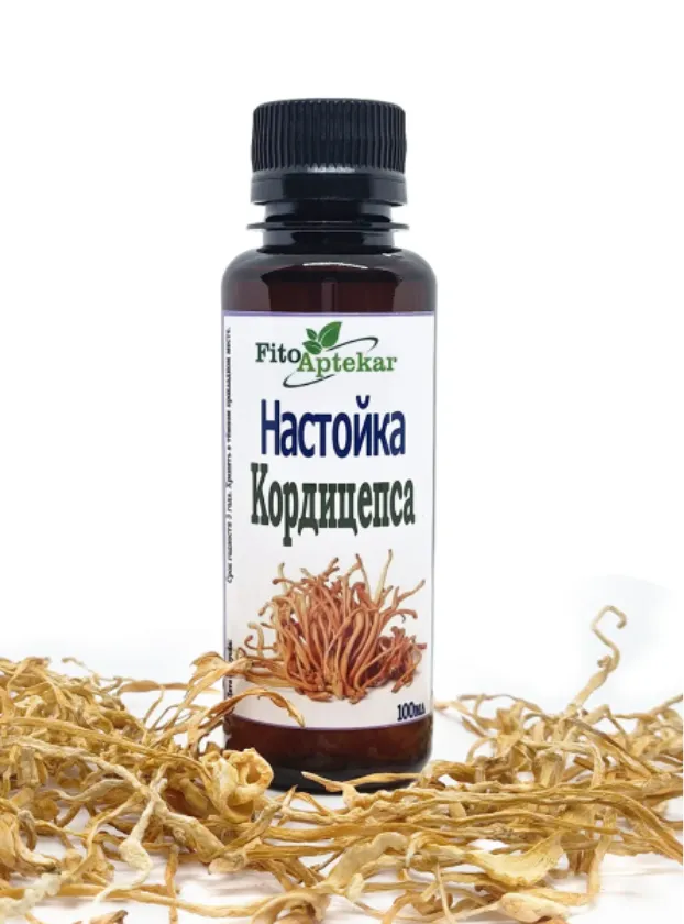 Кордицепс гриба настойка 