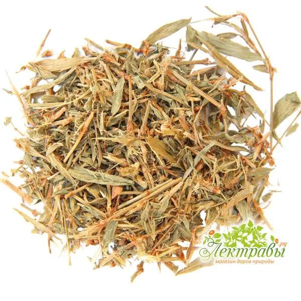 Горец птичий (спорыш) трава