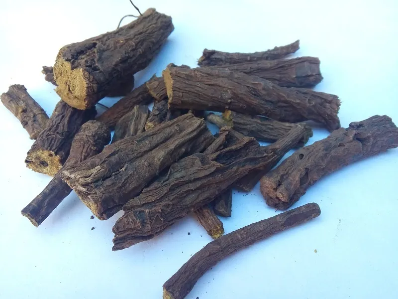 Конский щавель (корень)