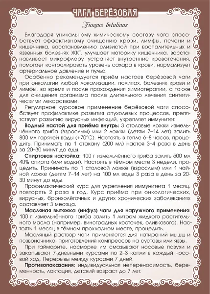 Чага березовая гриб