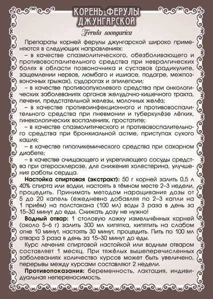 Ферула джунгарская (омик) корень