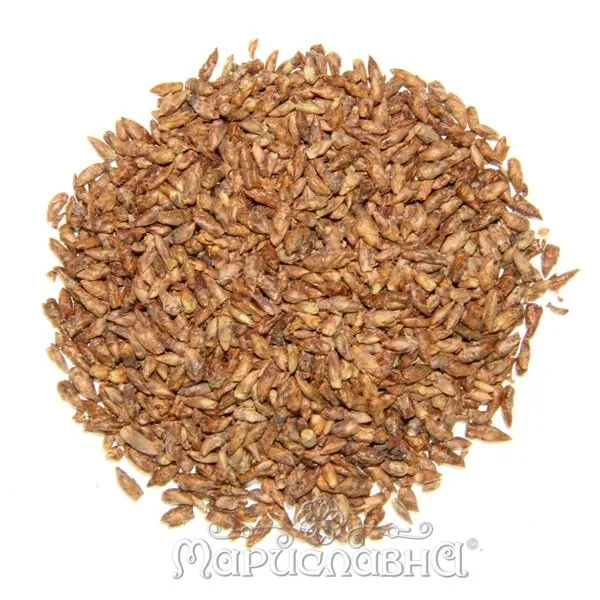 Береза (почки)