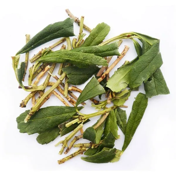 Зимолюбка зонтичная (трава)