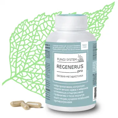 Ежовик Regenerus pro (капсулы)