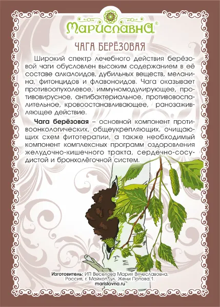 Чага березовая гриб