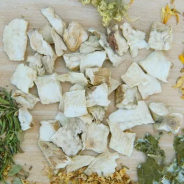 Цикорий (корень)