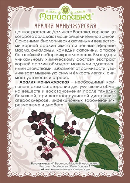 Аралия маньчжурская (корень)