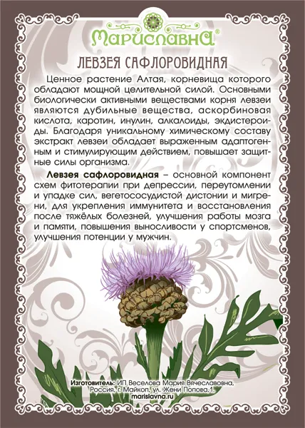 Левзея сафлоровидная (корень)