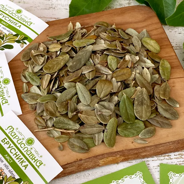 Брусника (лист)