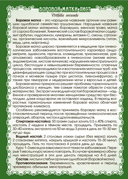 Боровая матка (ортилия) лист
