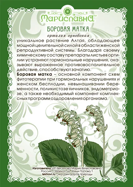 Боровая матка (ортилия) лист
