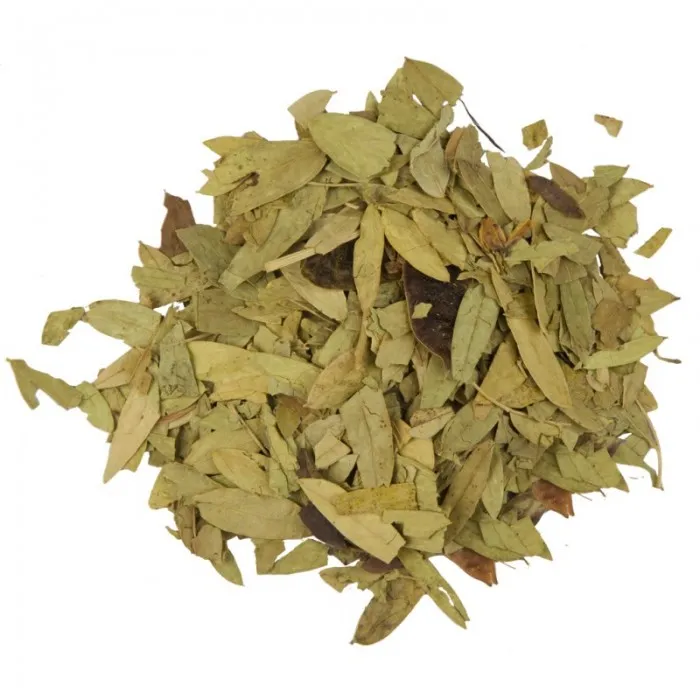 Сенна (лист)