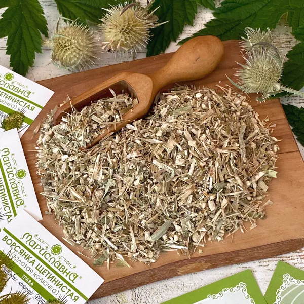 Ворсянка щетинистая (золотая колючка) трава