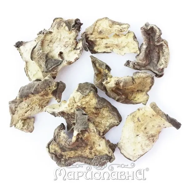 Кубышка жёлтая (корень)