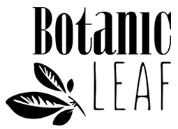 Botanic Leaf