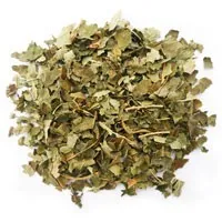 Лещина (фундук) лист