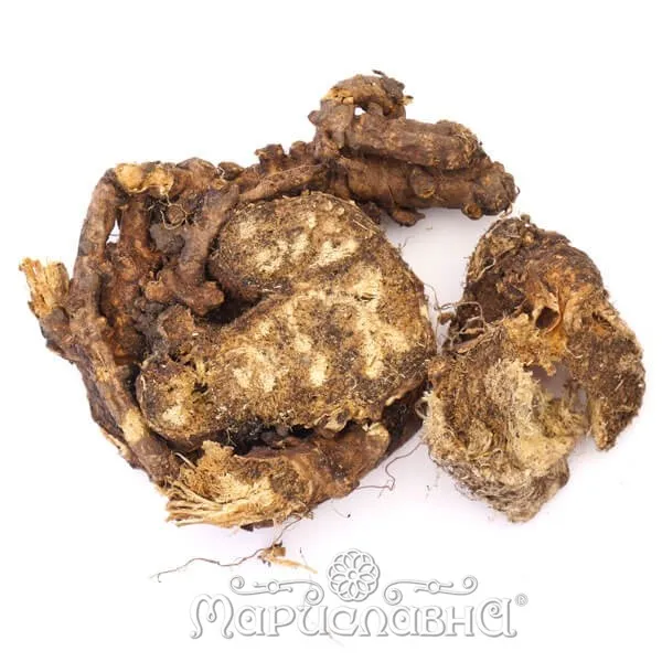 Ферула джунгарская (омик) корень